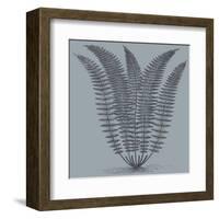 Fern (Slate & Ink)-Botanical Series-Framed Art Print