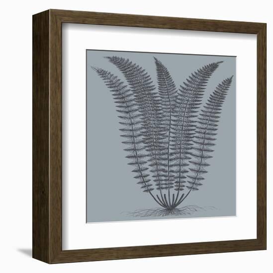 Fern (Slate & Ink)-Botanical Series-Framed Art Print