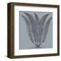 Fern (Slate & Ink)-Botanical Series-Framed Art Print