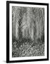 Fern, Small Leaves, Bronx Botanical Garden, New York, 1945-Brett Weston-Framed Photographic Print