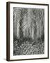 Fern, Small Leaves, Bronx Botanical Garden, New York, 1945-Brett Weston-Framed Photographic Print