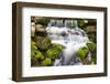 Fern Spring, California, Usa-Russ Bishop-Framed Photographic Print