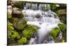 Fern Spring, California, Usa-Russ Bishop-Stretched Canvas