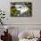 Fern Spring, California, Usa-Russ Bishop-Mounted Premium Photographic Print displayed on a wall
