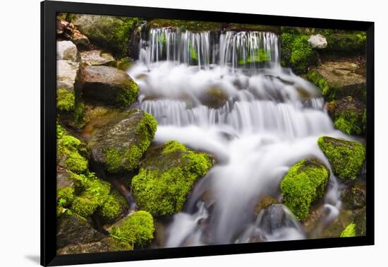 Fern Spring, California, Usa-Russ Bishop-Framed Photographic Print