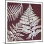 Fern Time 1-Sheldon Lewis-Mounted Art Print