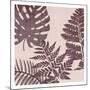 Fern Time 3-Sheldon Lewis-Mounted Art Print