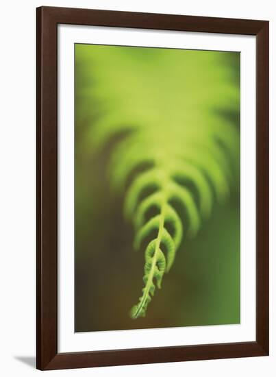 Fern Tip-Staffan Widstrand-Framed Giclee Print