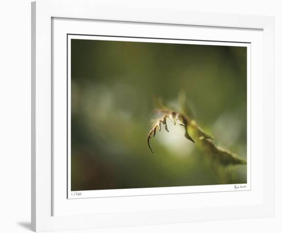 Fern-Michelle Wermuth-Framed Giclee Print