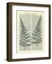 Fern-Marion Mcconaghie-Framed Art Print