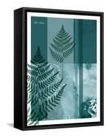 Fern-Flora Danica-Framed Stretched Canvas