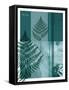 Fern-Flora Danica-Framed Stretched Canvas