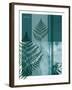 Fern-Flora Danica-Framed Art Print