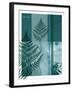 Fern-Flora Danica-Framed Art Print