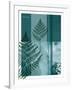 Fern-Flora Danica-Framed Art Print