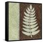 Fern-Kristin Emery-Framed Stretched Canvas