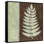 Fern-Kristin Emery-Framed Stretched Canvas