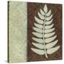 Fern-Kristin Emery-Stretched Canvas