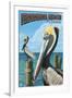 Fernadina Beach, Florida - Brown Pelican-Lantern Press-Framed Art Print