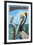 Fernadina Beach, Florida - Brown Pelican-Lantern Press-Framed Art Print