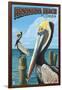 Fernadina Beach, Florida - Brown Pelican-Lantern Press-Framed Art Print