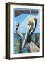 Fernadina Beach, Florida - Brown Pelican-Lantern Press-Framed Art Print