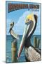 Fernadina Beach, Florida - Brown Pelican-Lantern Press-Mounted Art Print