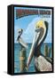 Fernadina Beach, Florida - Brown Pelican-Lantern Press-Framed Stretched Canvas