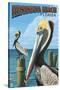 Fernadina Beach, Florida - Brown Pelican-Lantern Press-Stretched Canvas