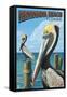 Fernadina Beach, Florida - Brown Pelican-Lantern Press-Framed Stretched Canvas