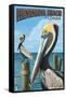 Fernadina Beach, Florida - Brown Pelican-Lantern Press-Framed Stretched Canvas