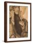 Brown Frame