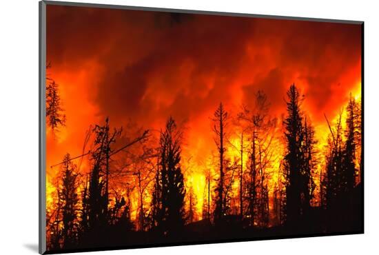 Photographic Print, , large