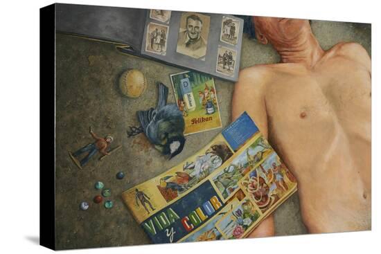 Stretched Canvas Print, , large