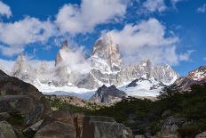 Wide angle landscape featuring Monte Fitz Roy in the background and tree in the foreground, Patagon-Fernando Carniel Machado-Photographic Print