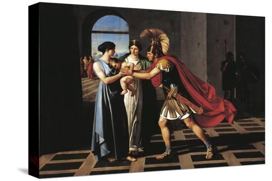 Stretched Canvas Print, , large