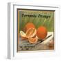 Fernando Oranges Brand - Fernando, California - Citrus Crate Label-Lantern Press-Framed Art Print