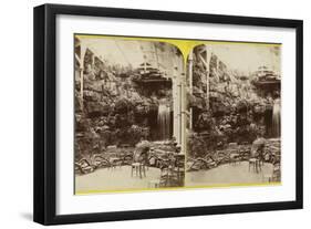 Fernery and Waterfall at Brighton Aquarium-null-Framed Premium Photographic Print