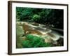 Ferns and Hemlock Trees along Broad Brook in the Green Mountains, Vermont, USA-Jerry & Marcy Monkman-Framed Photographic Print