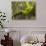 Ferns and Moss Growing on a Tree Limb, Silver Falls State Park, Oregon, USA-William Sutton-Photographic Print displayed on a wall