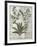 Ferns, Brambles and Flowers, Illustration from the Book of Simple Medicines by Platearius-Robinet Testard-Framed Giclee Print