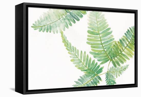 Ferns I Square-Chris Paschke-Framed Stretched Canvas