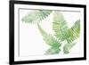 Ferns I Square-Chris Paschke-Framed Art Print