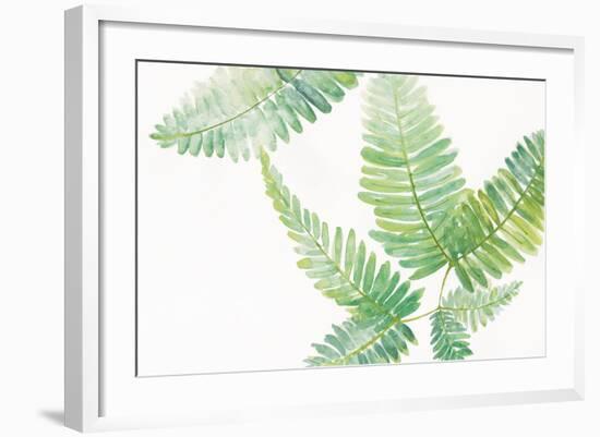 Ferns I Square-Chris Paschke-Framed Art Print