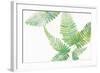 Ferns I Square-Chris Paschke-Framed Art Print