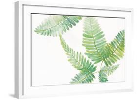 Ferns I Square-Chris Paschke-Framed Art Print