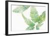 Ferns I Square-Chris Paschke-Framed Art Print