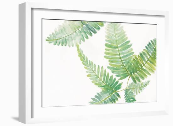 Ferns I Square-Chris Paschke-Framed Art Print