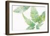 Ferns I Square-Chris Paschke-Framed Premium Giclee Print