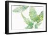 Ferns I Square-Chris Paschke-Framed Premium Giclee Print